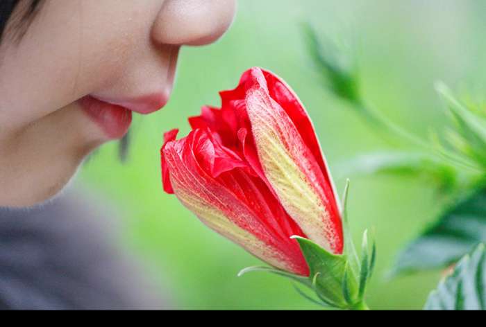 دانشمندان ارتباطی معنادار بین حس بویایی و حس جهت یابی کشف کردند