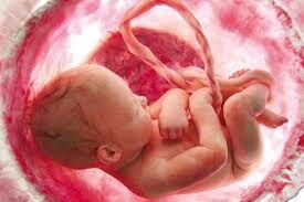 تبلیغات مجازی به سقط جنین رسید +عکس