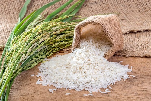 مطالعه‌ای متفاوت درباره ارتباط برنج و افزایش وزن!