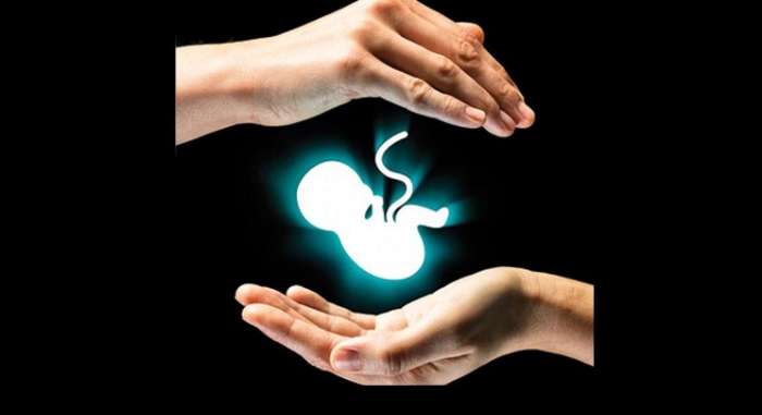 کدام خانواده‌ها بچه‌های خود را سقط می‌کنند؟/ سهم بالای فرزندان مشروع از سقط‌های غیرقانونی