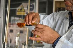 مرگ و میر ناشی از الکل در فارس، ۶ برابر کروناست