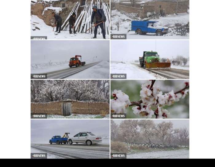 تصاویری از بارش برف بهاری در اهر