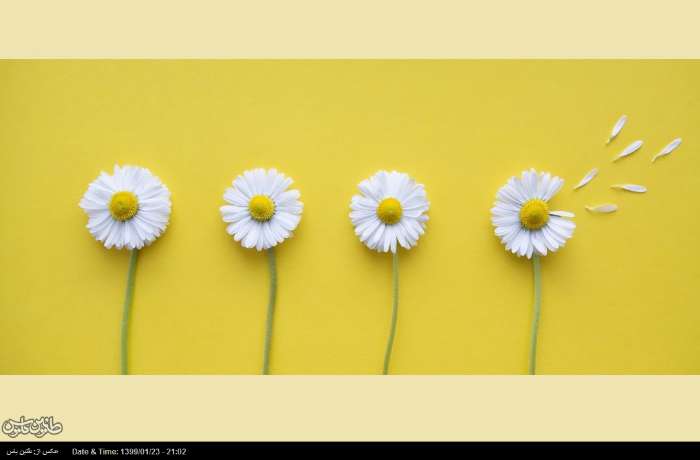 ۱۰ حقیقت شگفت‌انگیز در مورد احساس تنهایی