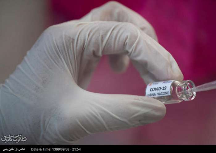 ایران همپای دنیا در ساخت واکسن کرونا