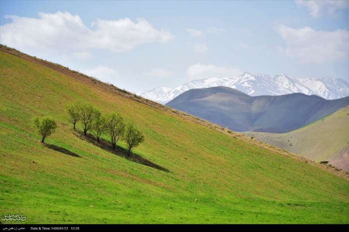 تصاویری زیبا از طبیعت بهاری کردستان