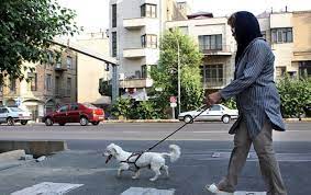 چراغ سبز شورای اسلامی به سگ گردانی در پارک ها / شورای شهری ها تبعات این اقدام خود را می پذیرند؟