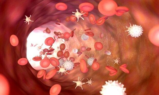 پیش بینی شدت بیماری کووید ۱۹ با اندازه پلاکت های خون
