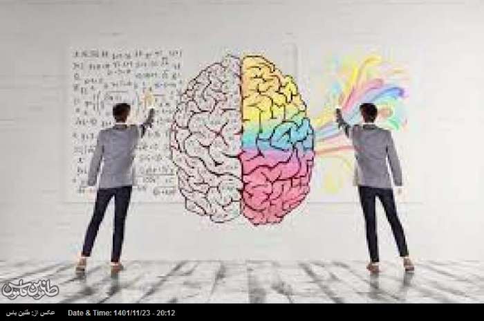 آیا راست مغزی و چپ مغزی حقیقت دارد؟