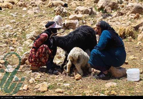 زندگی هه‌وارنشینان روستای پالنگان در دل کوهستان شاهو