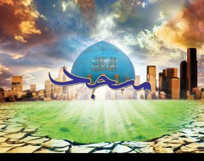 مسجد یکی از ارکان تعالی خانواده، ترویج ازدواج بهنگام و فرزندآوری است