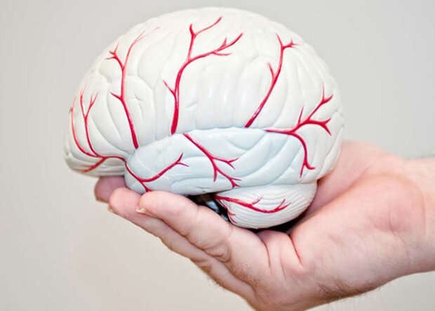 آسیب خفیف سر هم احتمال سکته مغزی را افزایش می دهد