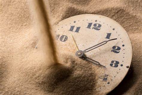 در لحظه زندگی کنید