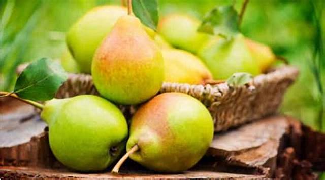 فواید شگفت‌انگیز و درمانی این میوه برای سلامتی