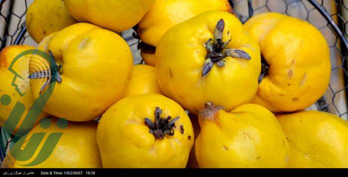 عوارض بوییدن پوست میوه بِه