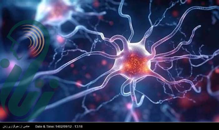 بارقه امید برای درمان ام‌اس بوسیله یک آزمایش جدید