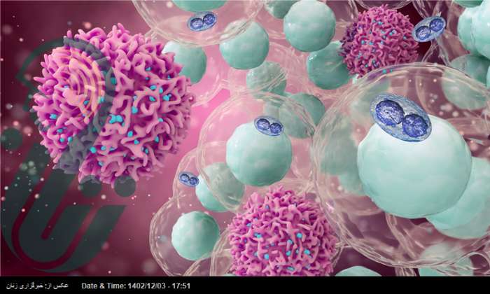 نانوحباب‌های زیستی به کمک بیماران مبتلا به سرطان ریه می‌آیند