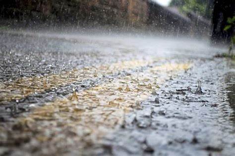بارش باران در بیشتر استان‌ها/ وزش باد شدید در نیمه شرقی کشور