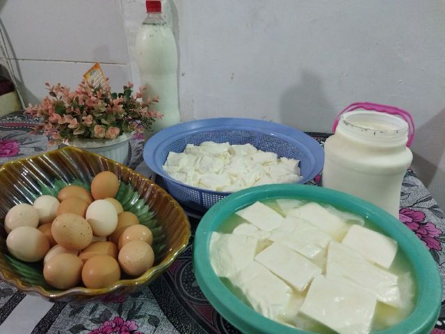 زندگی روستایی به روایت تصویر/آموزش درست کردن پنیر محلی در روستای خسروبیگ شهرستان کمیجان