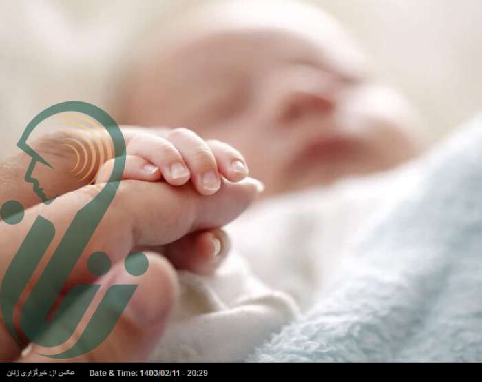 درصد موفقیت درمان ناباروری با روش IVF در ایران