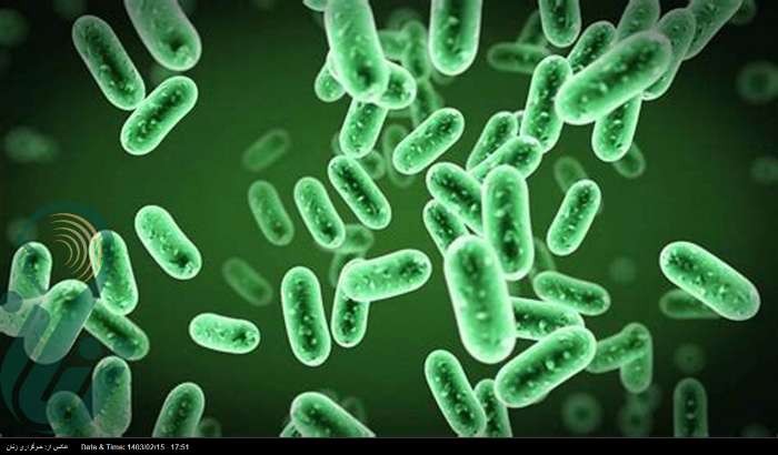 باکتری‌ها برای ما رشته سیم رسانا می‌سازند