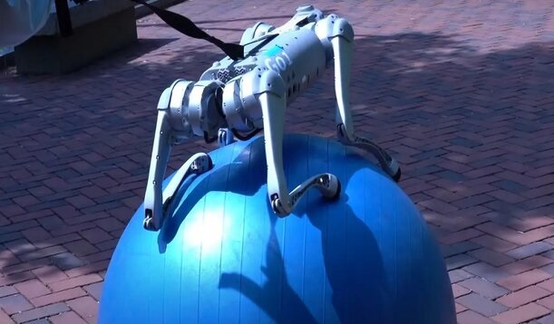 کمک انویدیا به سگ‌های رباتیک برای حفظ تعادل حتی روی توپ بادی