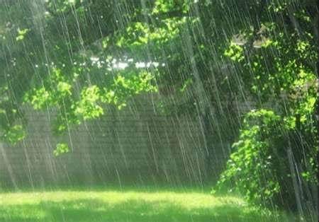 بارش پراکنده باران طی روزهای آینده در برخی استان‌ها/ وزش باد شدید در نوار شرقی کشور