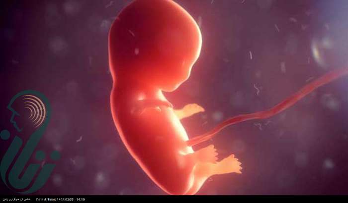 بررسی تاثیر نانوذرات روی جفت جنین