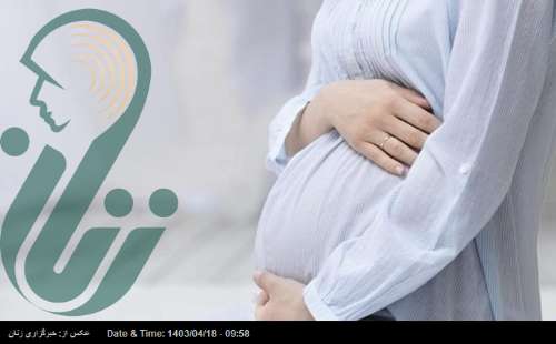بانوان باردار از مصرف بیش از حد کنگر در فصل بهار خودداری کنند