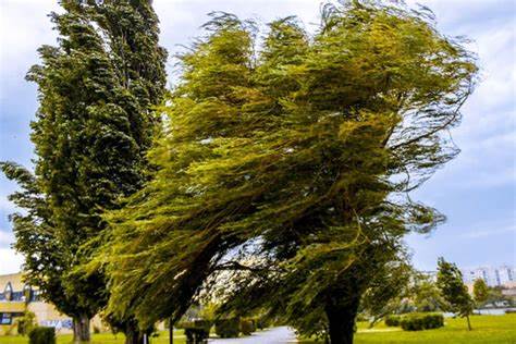 وزش باد شدید در برخی نقاط کشور