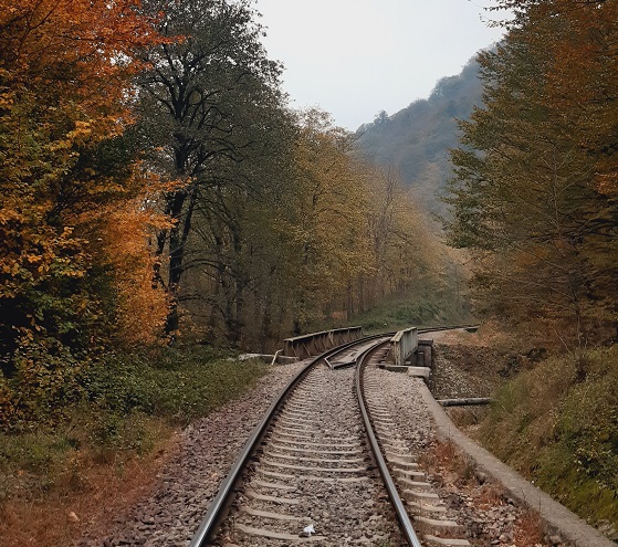 جنگل زیبای شیرگاه سوادکوه شمالی در پاییز