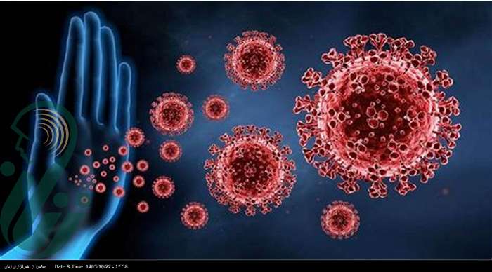 تقویت سیستم ایمنی بدن با این ۷ ماده غذایی