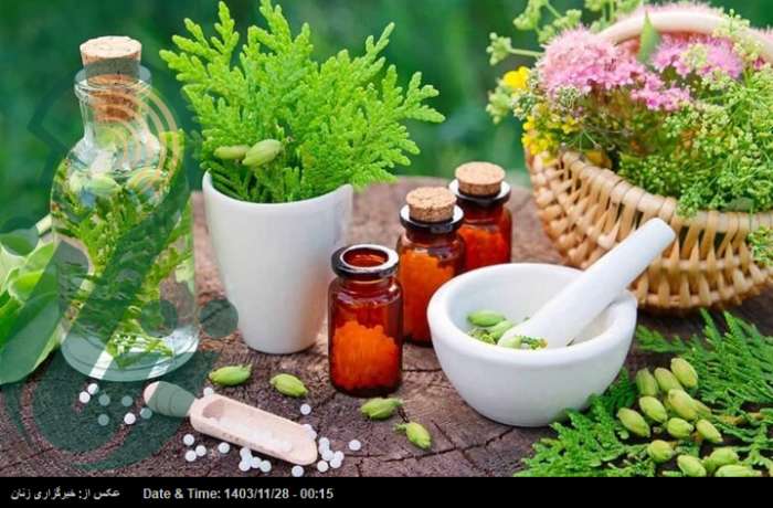 چند باور غلط درباره مصرف داروهای گیاهی