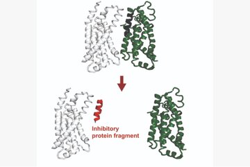 دیگر نیازی به PhD نیست؛ هوش مصنوعی OpenAI جای نخبگان را می‌گیرد!