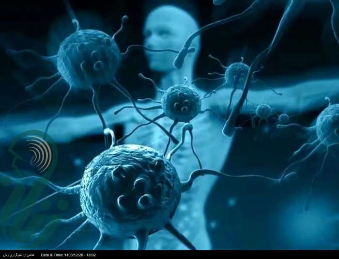 تقویت سیستم ایمنی بدن با مصرف این نوع سبزی