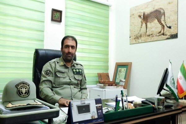 برداشت گیاهان دارویی در دماوند ممنوع شد
