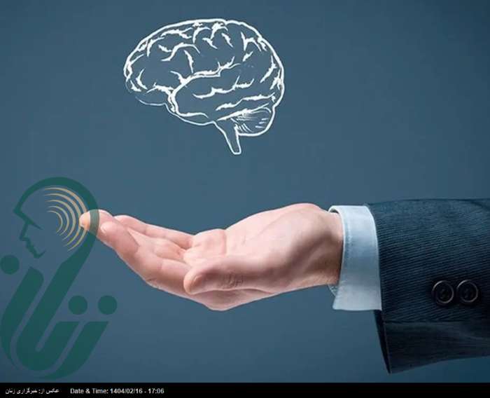 ۶ عادتی که مغز را پیر می‌کنند