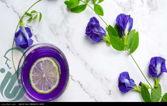 پروانه آبی چگونه به سلامت پوست کمک می‌کند؟