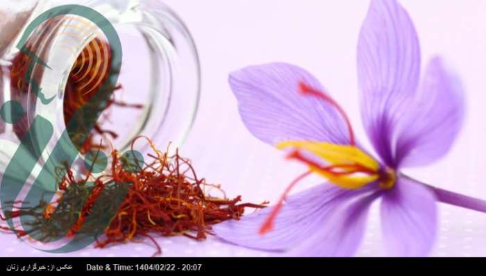 تضمین سلامتی با مصرف همین چند ماده غذایی