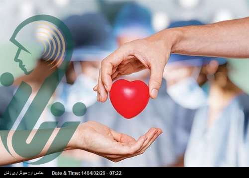 اهدای عضو؛ بذری از امید، رویشی از زندگی