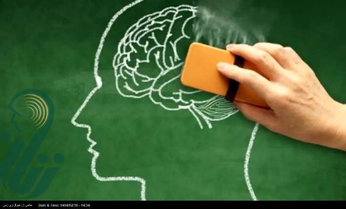 نشانه‌های آلزایمر از چه سنی بر عملکرد شناختی افراد تاثیر می‌گذارد؟