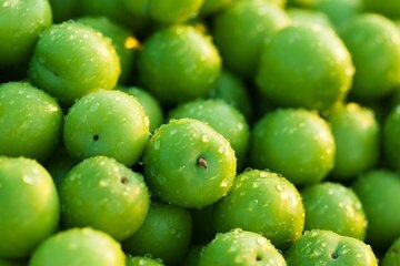 بلای زیاد خوردن گوجه سبز داخل معده