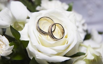 ازدواج و شبکه‌های اجتماعی ؛ تأثیرات مثبت و منفی بر تصمیم‌گیری جوانان