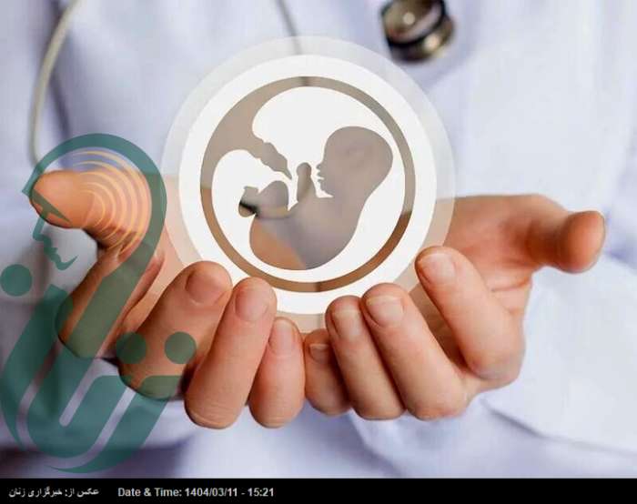 لایحه‌ای برای ضابطه‌مند کردن اهدای تخمک