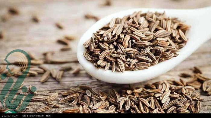 دانه‌ای که سبب کاهش وزن می‌شود و ضد سرطان است