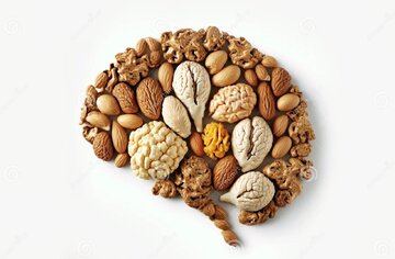دانه‌های کوچکی که سرشار از مواد مغذی‌اند؛ از خواص کاهش وزن گرفته تا حفظ سلامت قلب و مغز