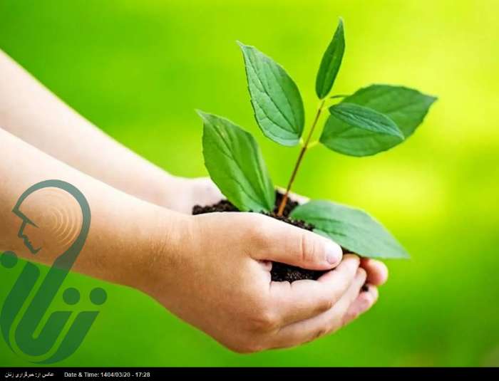 جایگاه تو در جهان کجاست؟ ۷ راه طلایی برای یافتن معنای زندگی