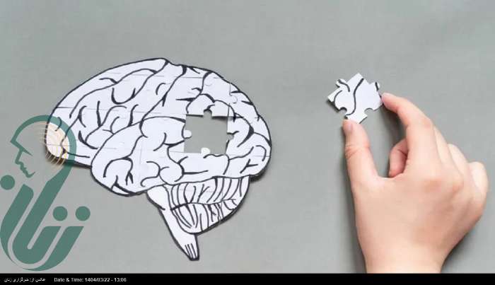 شناسایی یک عامل احتمالیِ زوال عقل