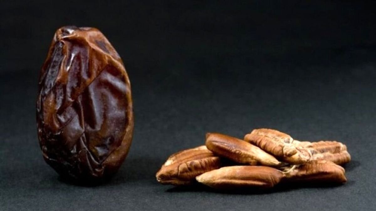 هسته این گیاه منبع پیشگیری از دیابت و سرطان است