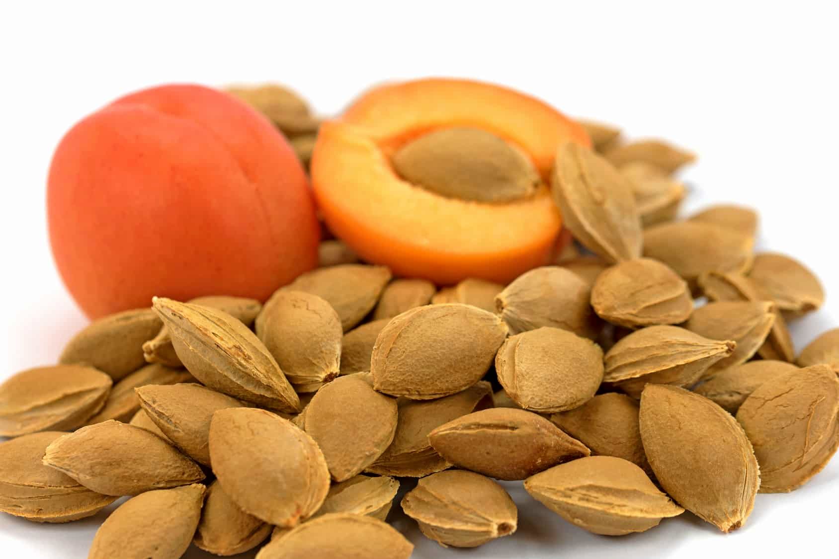 خوردن هسته این میوه خوشمزه تابستانی ممنوع!