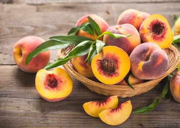 این میوه تابستانی خواص دارویی بی‌نظیری دارد